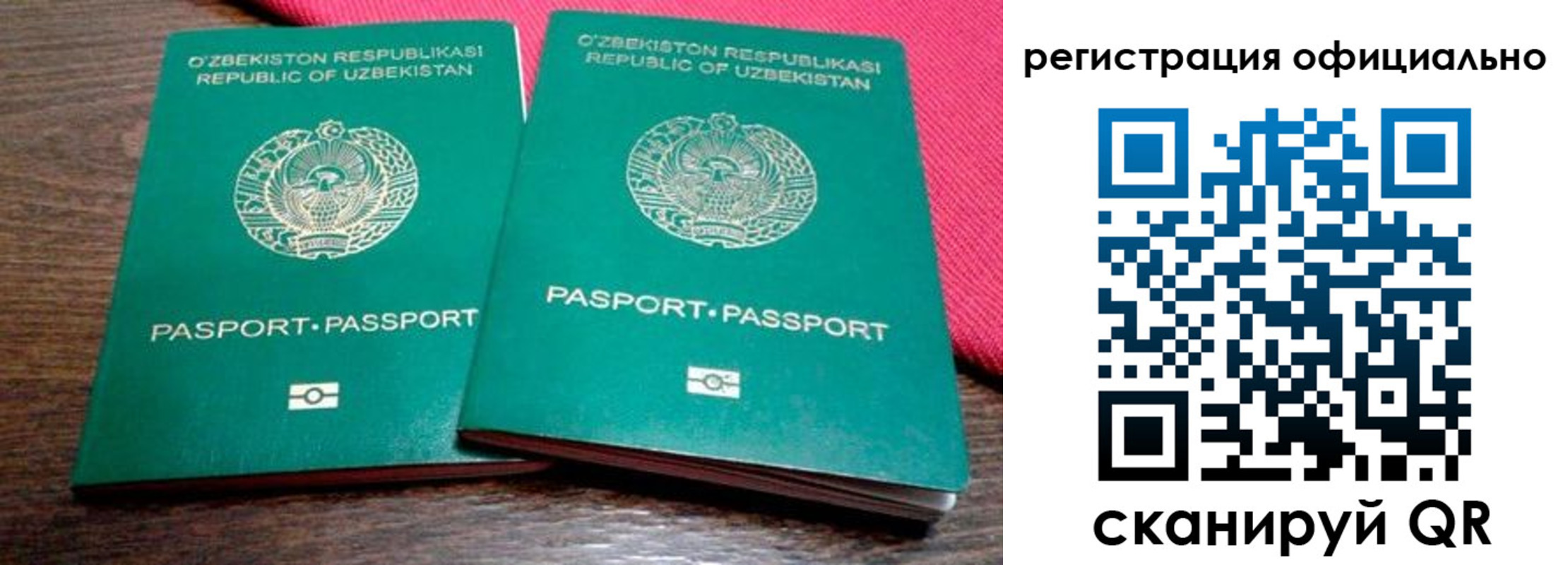 прописка регистрация в Ингушетии